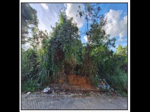 Terreno  -   - 300,00m2