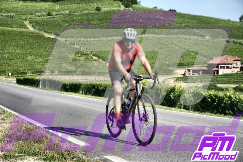 Barolo