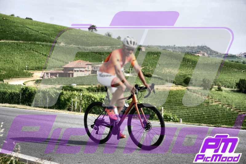 Barolo