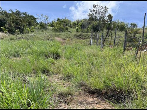 LOTE 12062        Lotes n. 02, 03, 04, 05, 15, 16, 17 da q...
