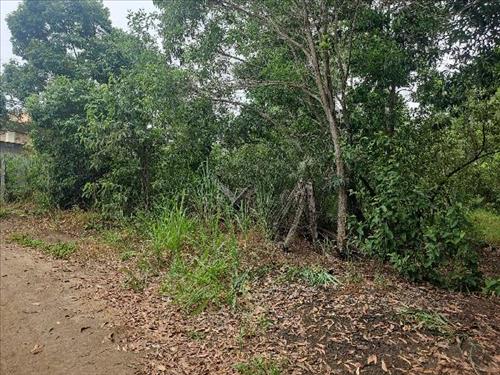 Terreno          -   - 2.004,00m2