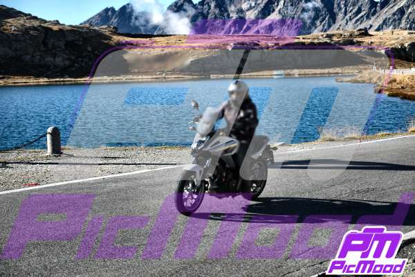 Passo Gavia