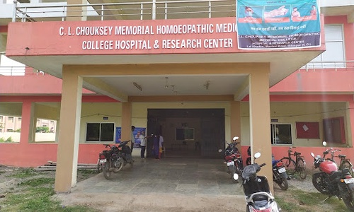 Chhadamilal Choukshey Memorial Homeopathic Medical College And Hospital, Bilaspur