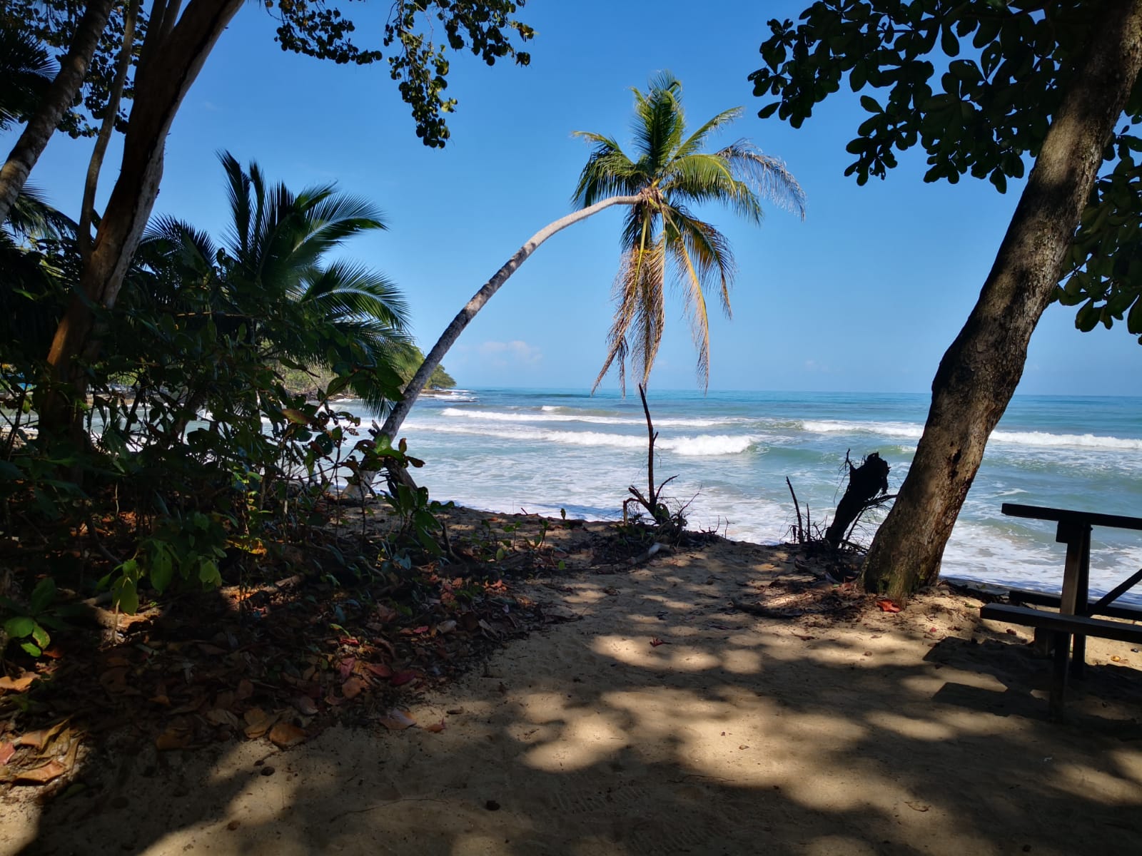 Strand von Cahuita- Costa Rica
