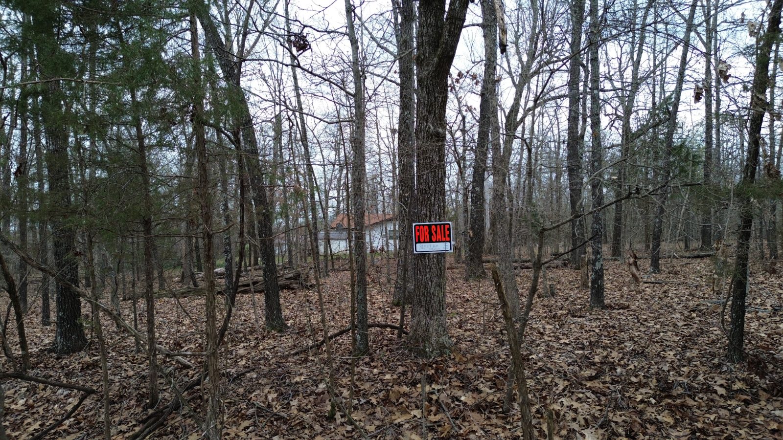 901 White Oak photo 3