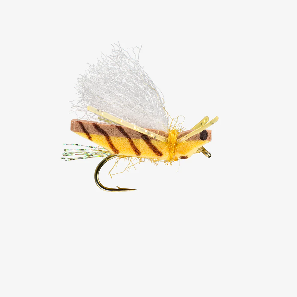 [Gold]