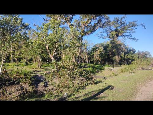 Terreno Área 59.280M² no Morro Grande em Araquari/SC