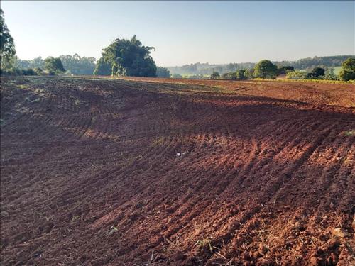 Fração ideal de 50% do Lote com área de 6,05 hectares, Cianorte/PR