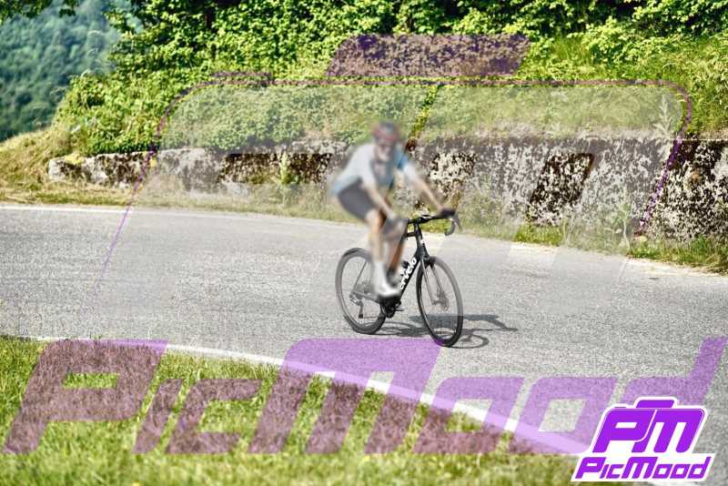 Colli San Fermo