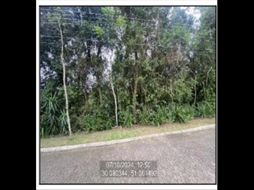 Terreno  -   - 117.996,33m2