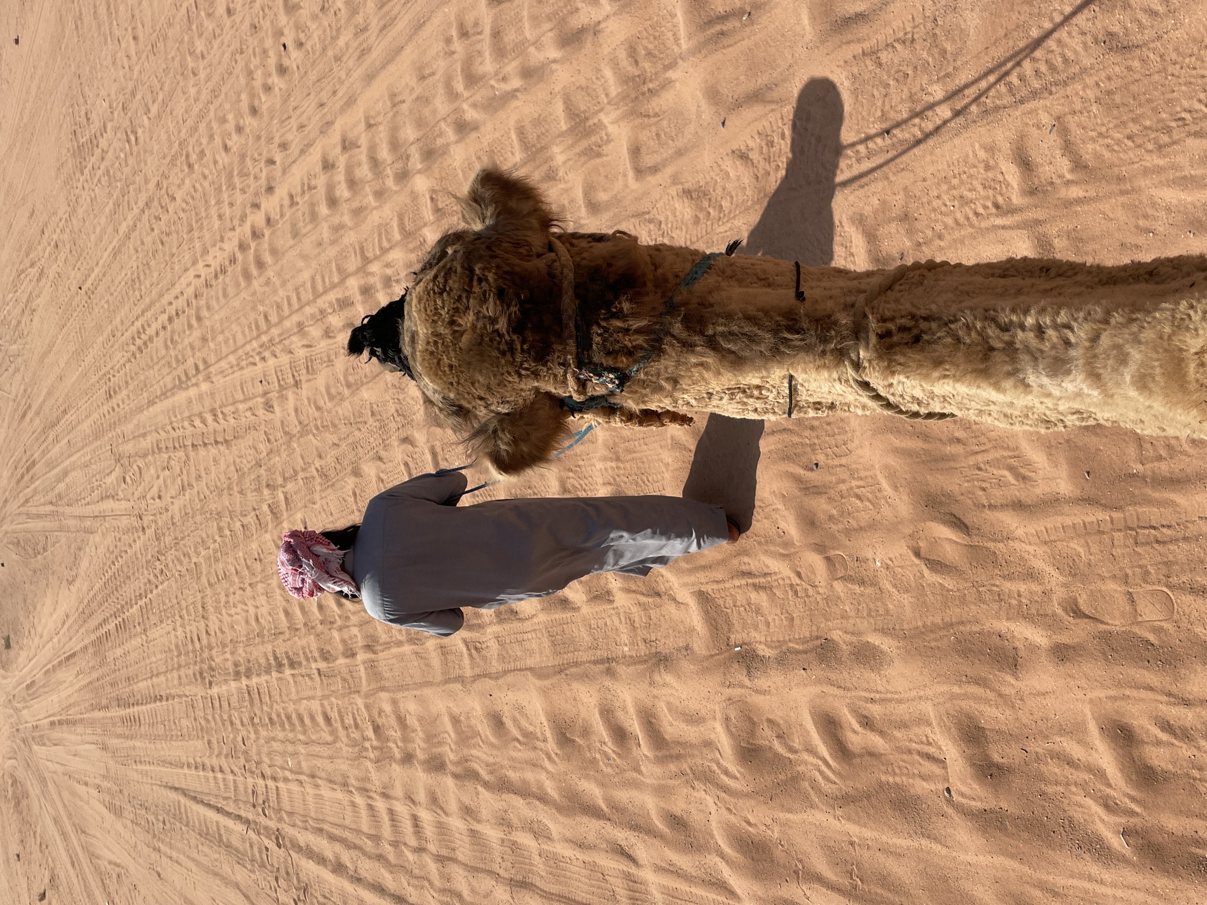Kamelführer im Wadi Rum- Jordanien