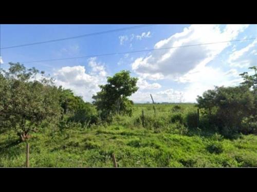 LOTE 099        Fração de 50% da área nr 06, situada no lu...