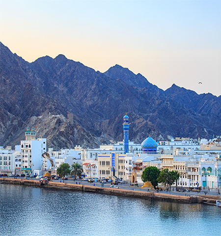 Muscat City Tours and Souqs