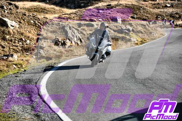 Passo Gavia