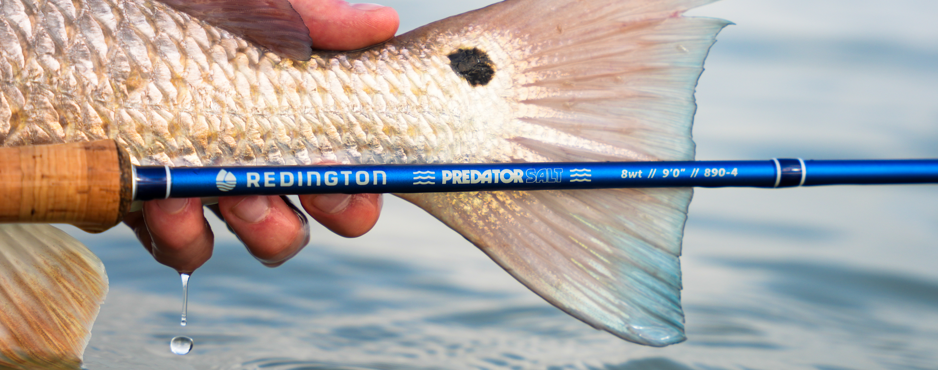 Redington Predator Salt Lifestyle