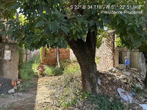 Terreno          -   - 136,50m2