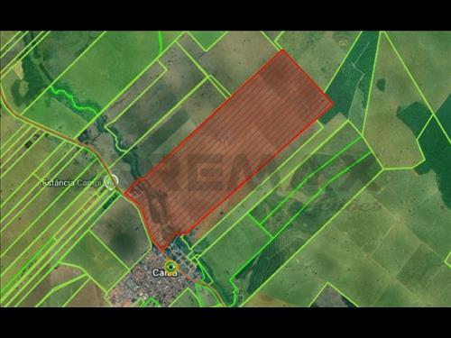 GLEBA DE TERRAS COM ÁREA DE 129,1563 ALQUEIRES PAULISTA, OU SEJA 312,5582 HECTARES, SITUADA NO MUNI...