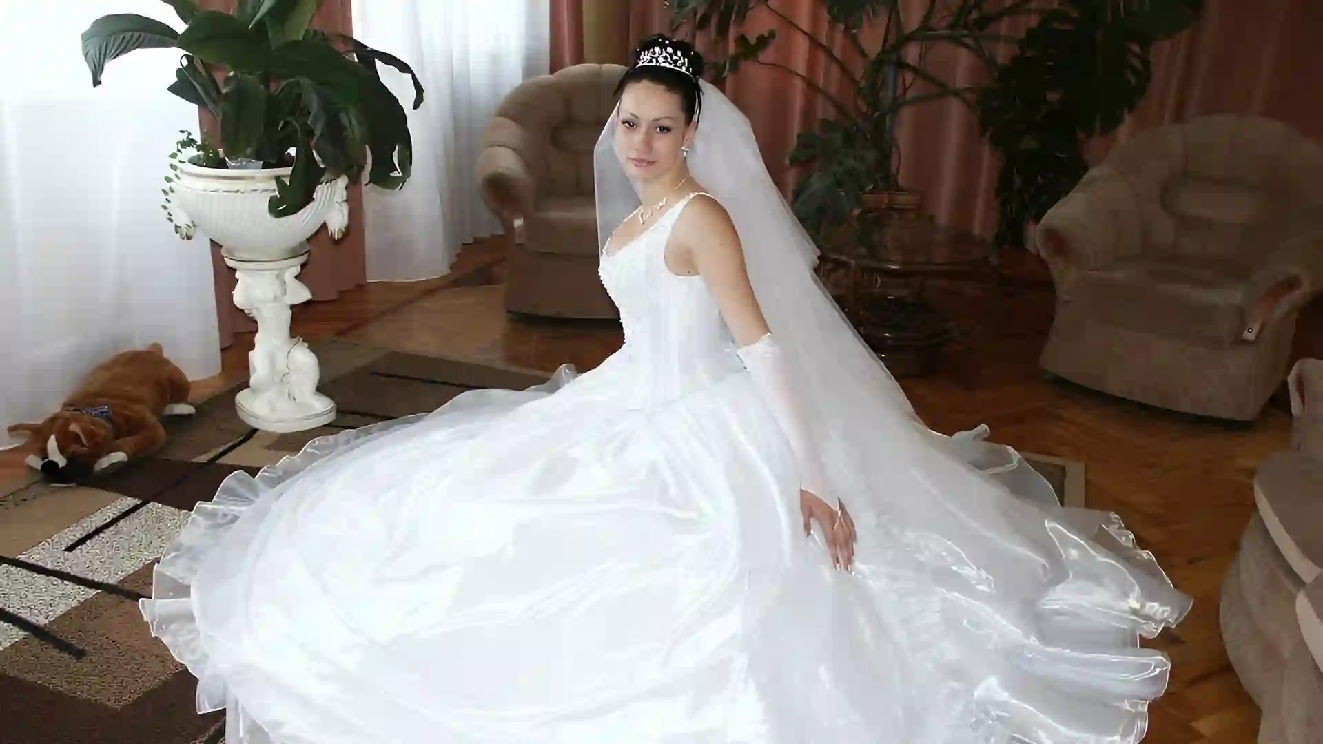Photo 8