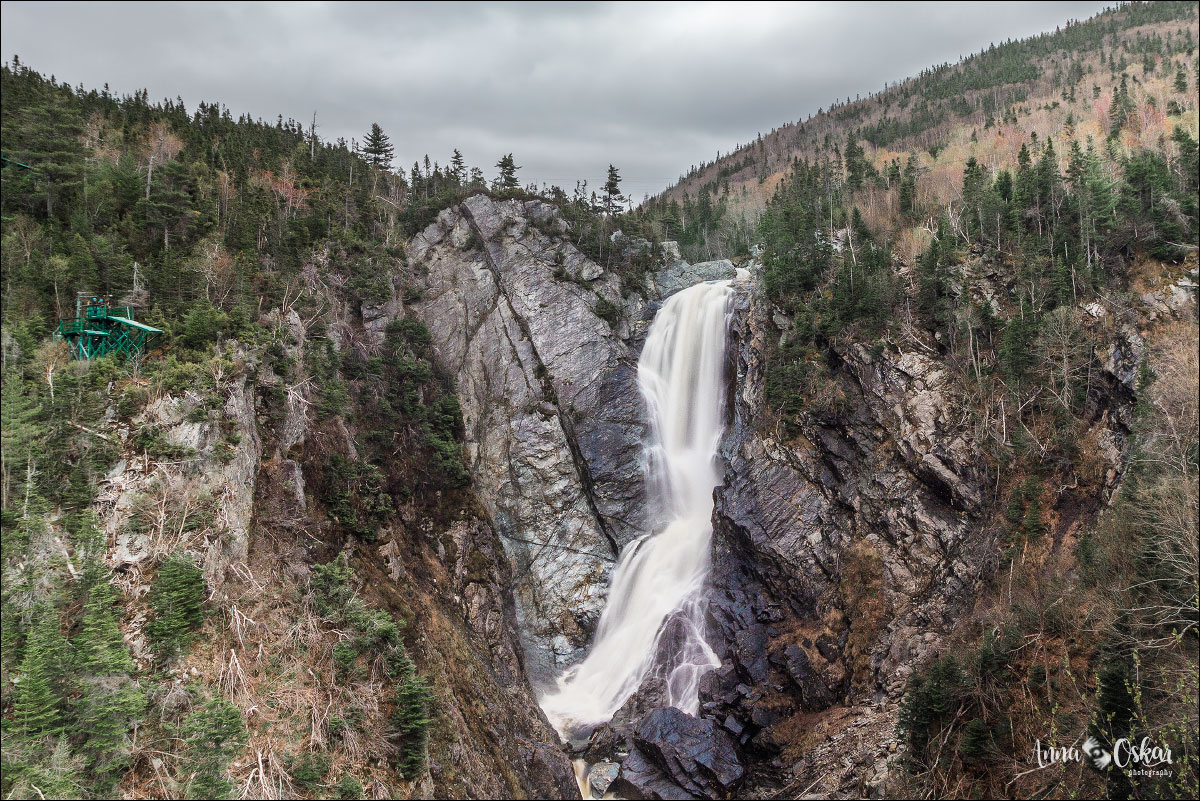 Terranova & Labrador: icebergs, puffins y balleneros vascos - Blogs de Canada - Gros Morne National Park (I) (14)
