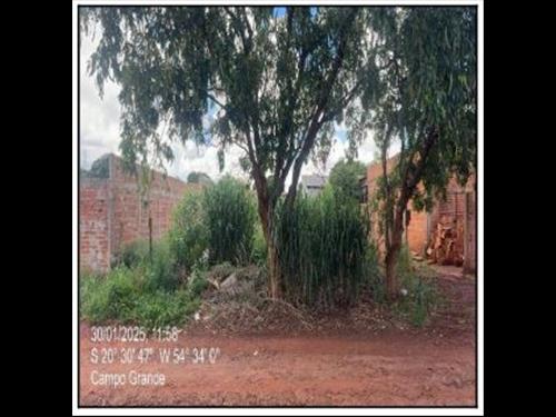 Terreno  -   - 360,00m2