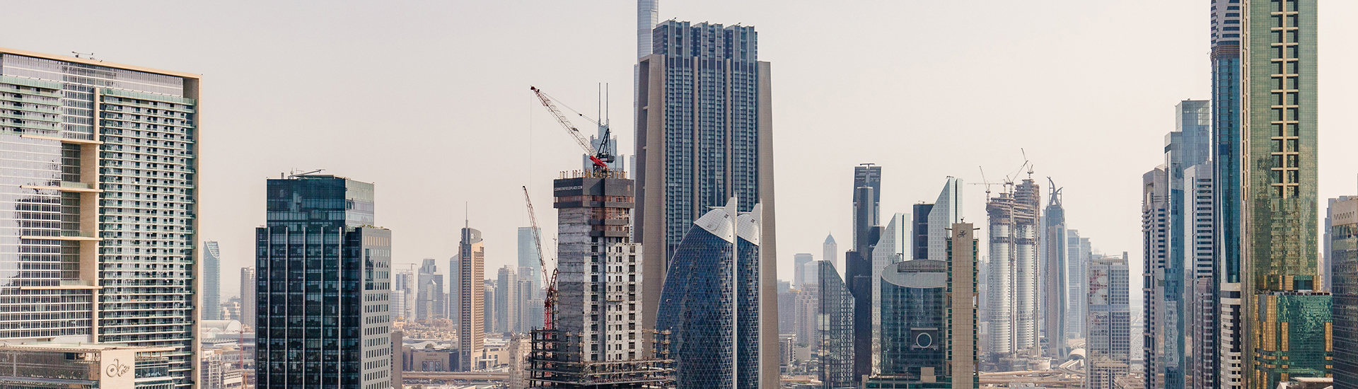 Our Projects