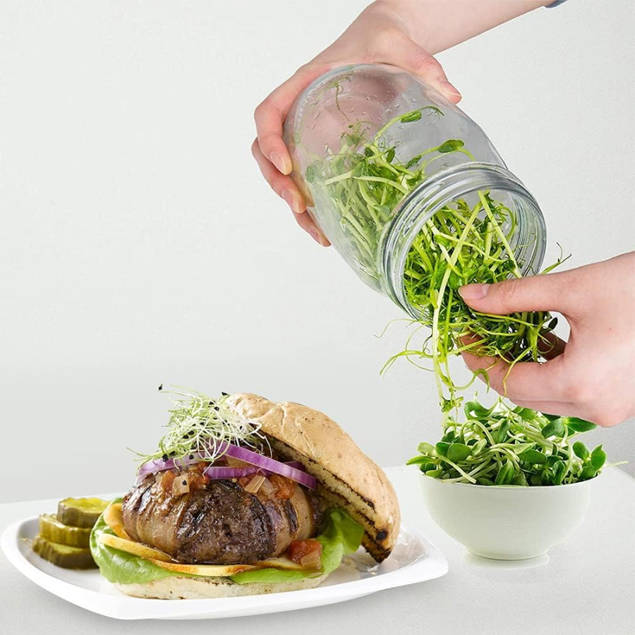Frasco de germinación vidrio, 900ml