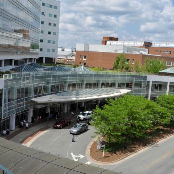 Healthcare & Medical