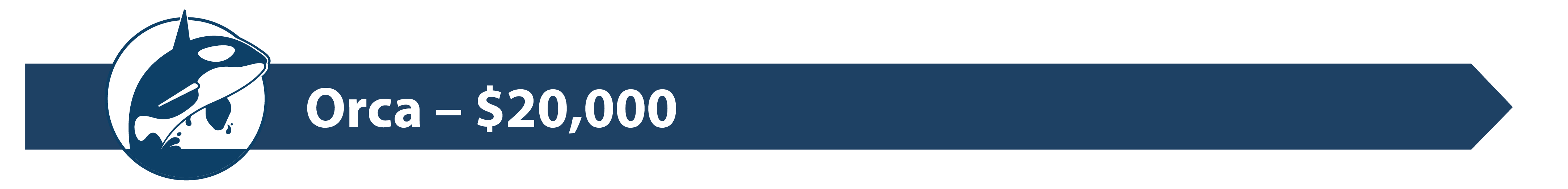 Sponsor tier divider graphic