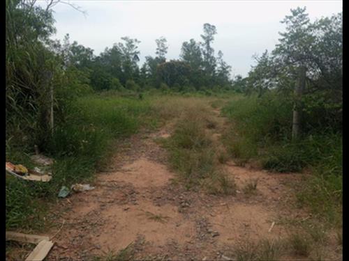 IMÓVEL RURAL  COM ÁREA TOTAL DE 8.492,840m² - MONTENEGRO/RS