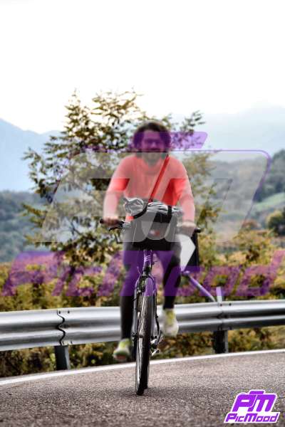 Altopiano del Brentonico