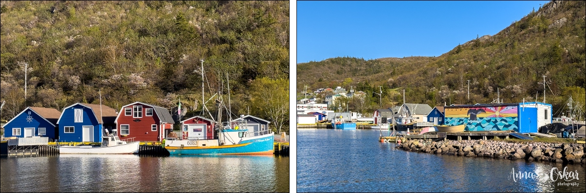 St. John's (II) - Terranova & Labrador: icebergs, puffins y balleneros vascos (22)