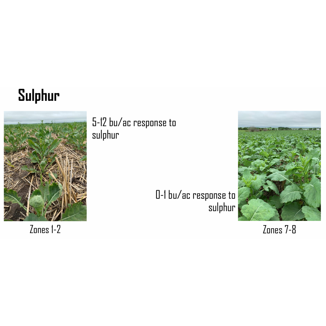 Nutrients: How does a crop respond to them?