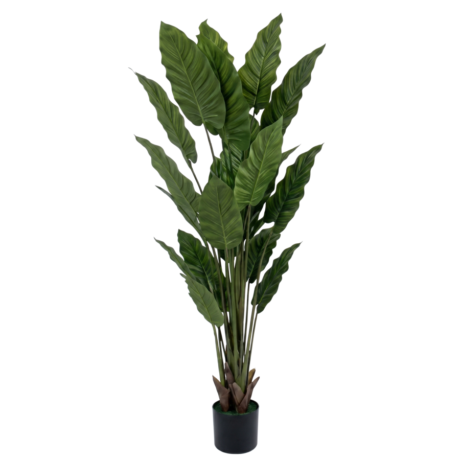 Planta artificial con maceta poliuterano, 160cm