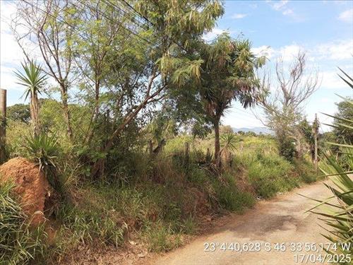Terreno  -   - 5.264,74m2