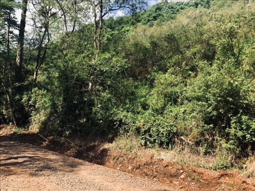 LOTE 694        A FRAÇÃO IDEAL DE 9,09% (6.890,18m²) SOBRE...
