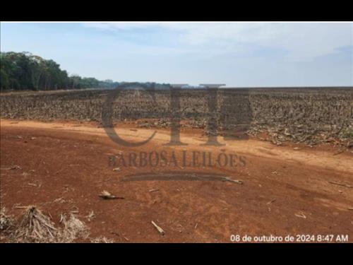 FAZENDA HARMONIA (475 HÁ)