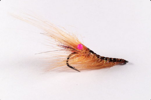 [Easy Shrimp Eyes ギャラリー4]
