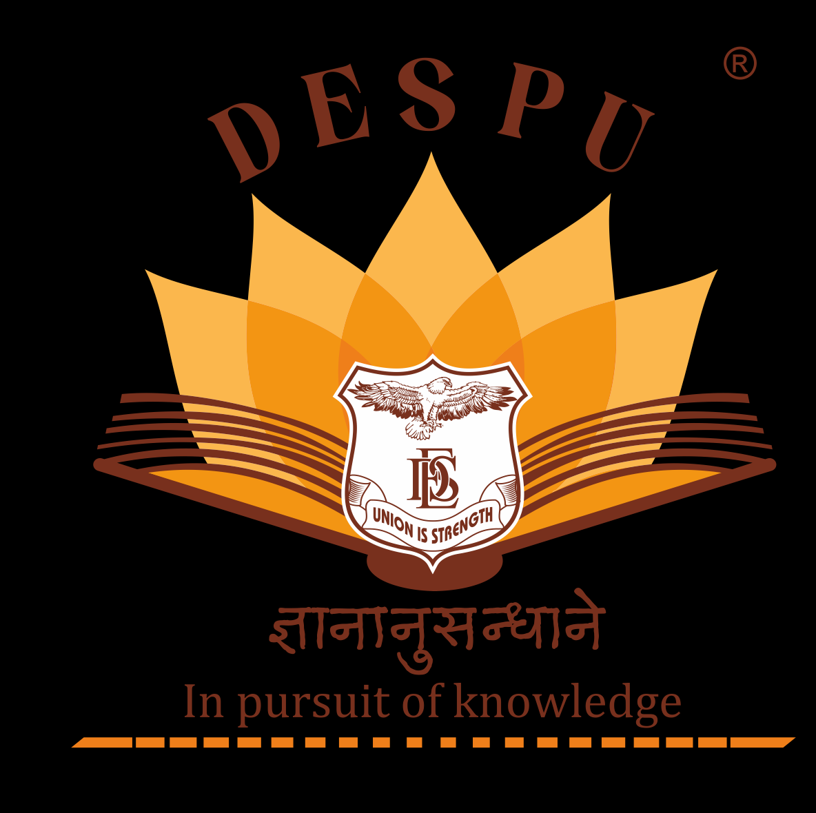 DES Pune University