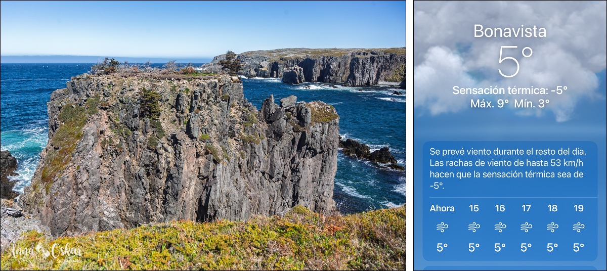 Península de Bonavista (III) - Terranova & Labrador: icebergs, puffins y balleneros vascos (21)