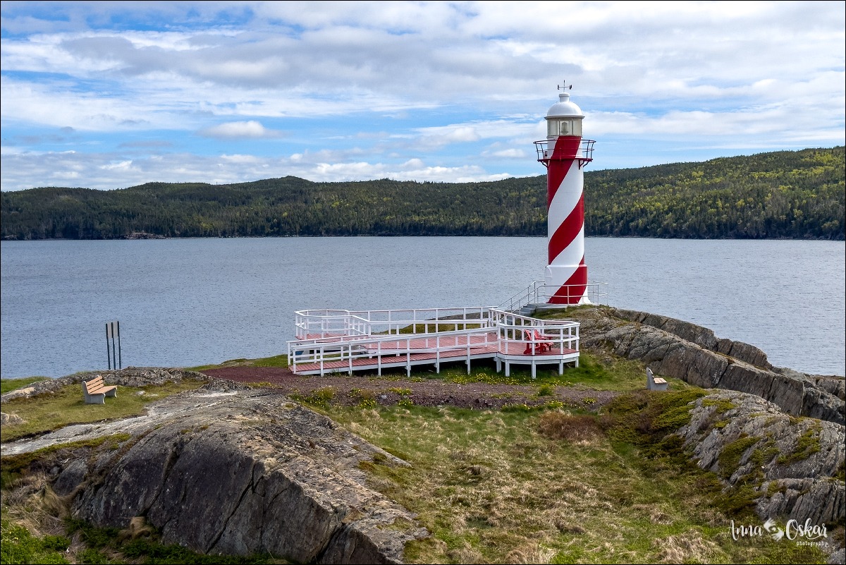 Faro de Heart's Content y traslado a St. John's - Terranova & Labrador: icebergs, puffins y balleneros vascos (11)