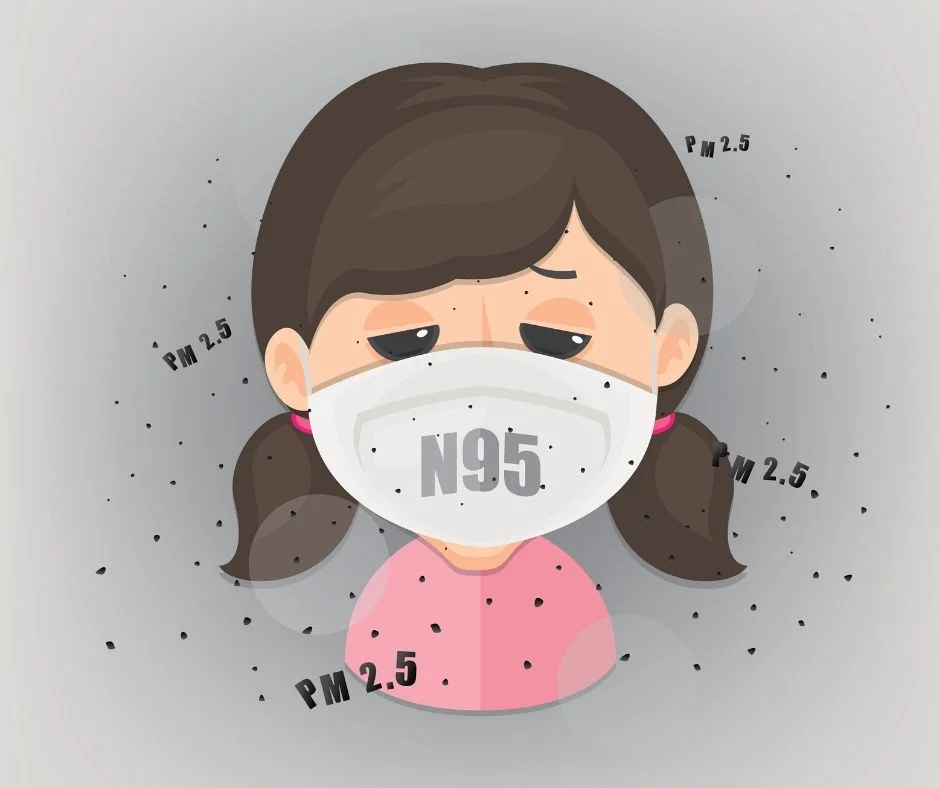วิธีรับมือกับฝุ่นละออง PM 2.5 #1
