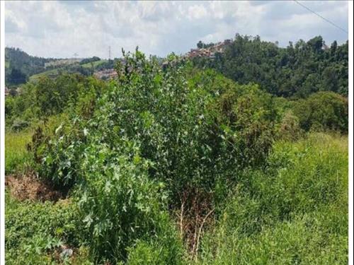 Terreno à venda em leilão