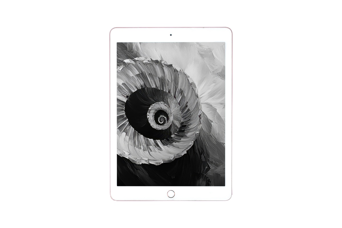 Intrigue of Spiral Elegance Black and White iPad Wallpaper