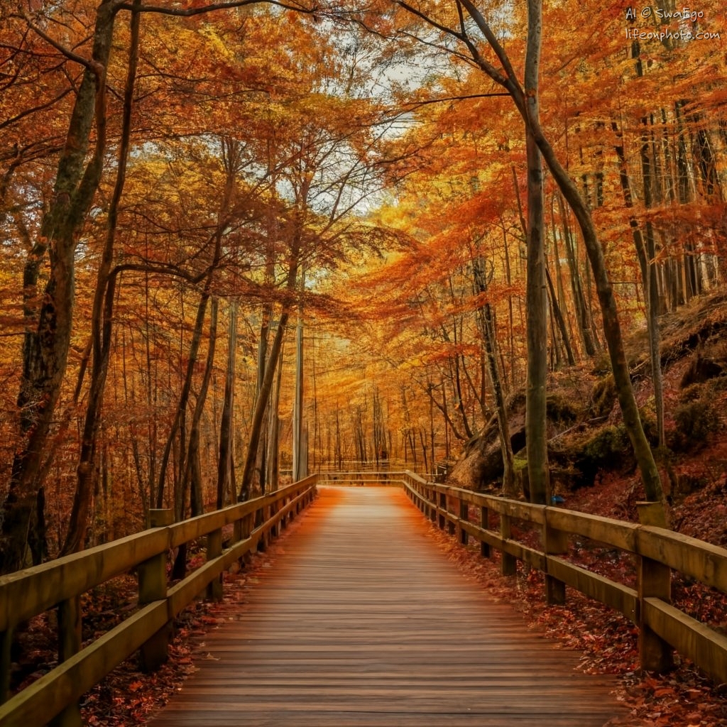 The last days of fall