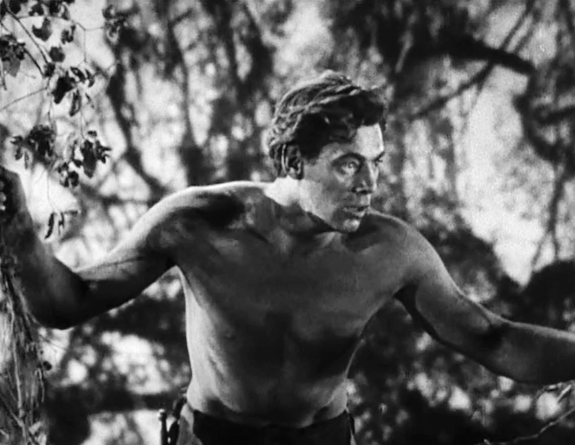 Tarzan actor Johnny Weissmuller was an Olympian in which sport?