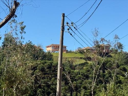 Casa             -   - 458,41m2