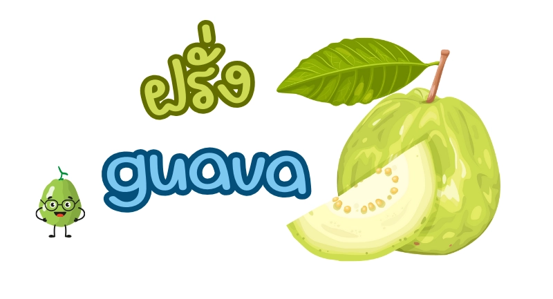 ฝรั่ง ภาษาอังกฤษ guava
