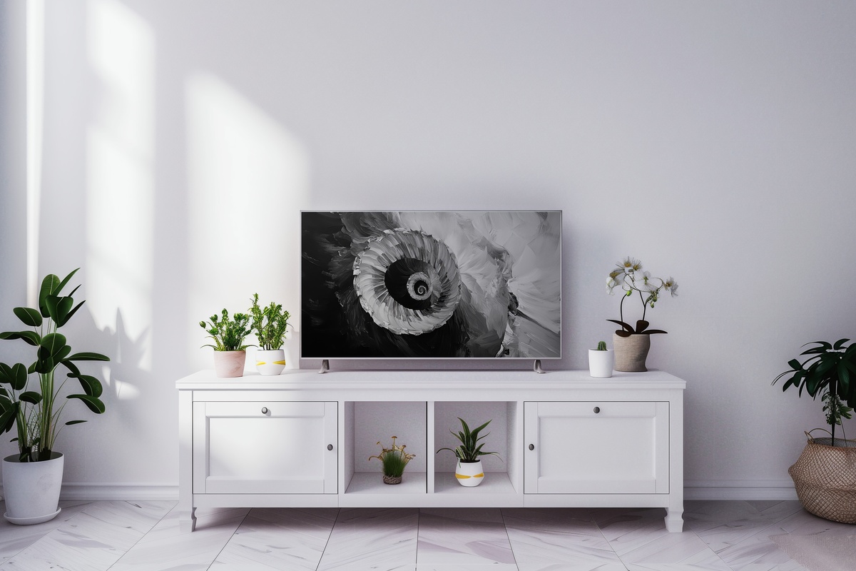 Intrigue of Spiral Elegance Black and White Frame TV Art