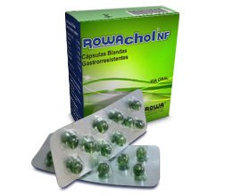 Rowachol Cja/100 Cap