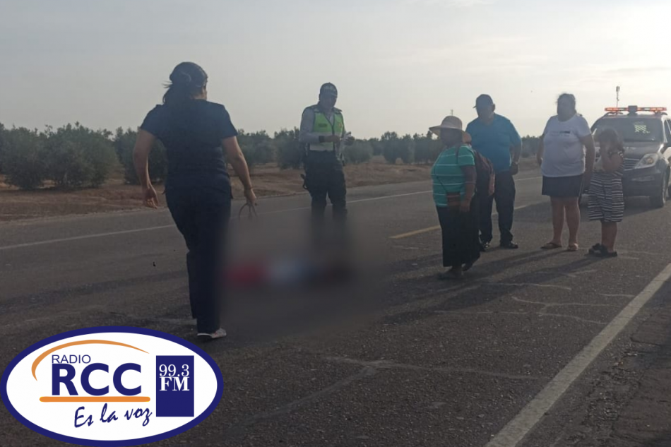 NiÑa De 6 AÑos Termina Gravemente Herida Tras Ser Atropellada Por Combi En La Carretera 4750